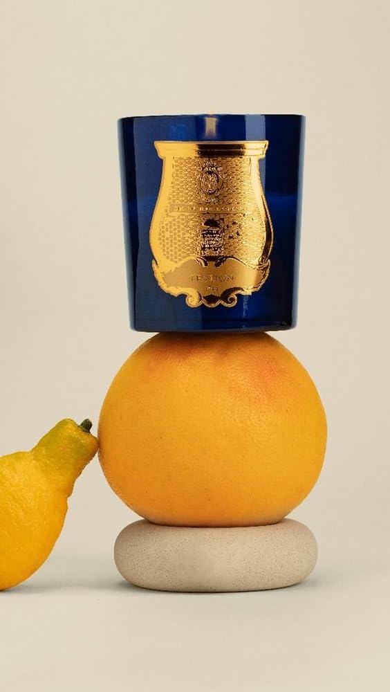 Amazon.co.jp: Cire Trudon Saltaキャンドル (9.5オンス) : ホーム