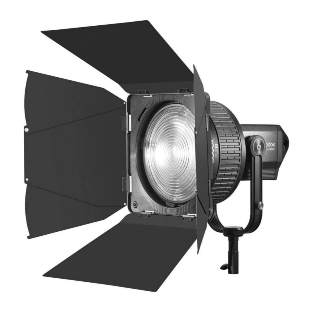 GODOX Visières LB-02 pour FLS-10 RFE.200288
