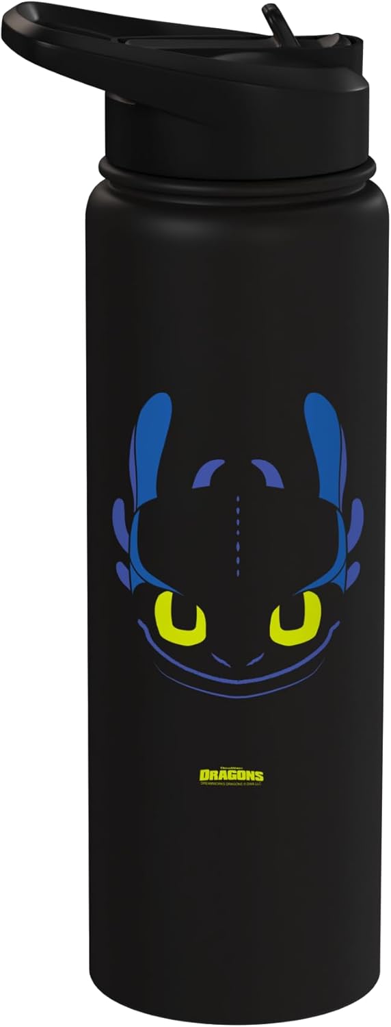 DreamWorks Dragons Toothless Night Fury Big Face Costume Stainless Steel Insulated Water Bottle