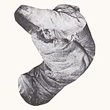 Hair Tonic for Longer Hair