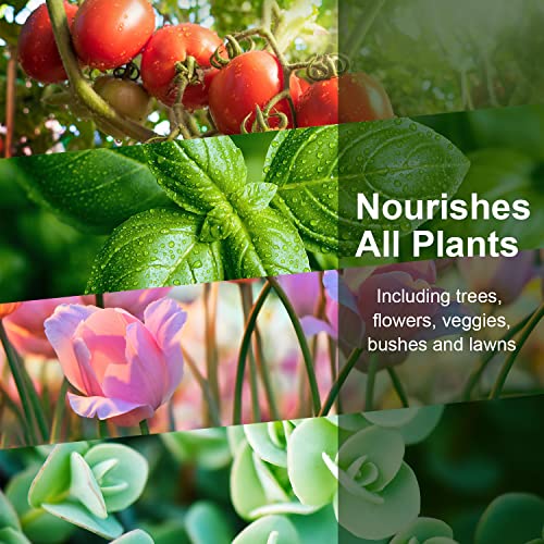 Plant Food Hydroponic Nutrients Supplies: Hydroponics Growing System QYO Base A & B Nutrients, Hydroponic Fertilizer for Any Hydroponics System - Indoor Herb Garden Plants Accessories(Total 200ml) - Image 5