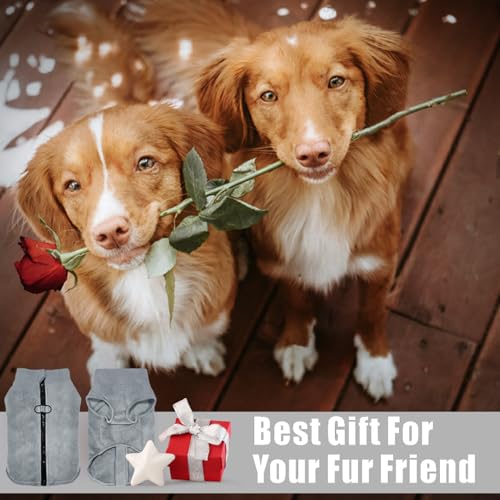 Idepet Hunde-Fleece-Weste, Pullover, mit Reißverschluss, Warmer Pullover, Hundejacke mit D-Ring-Leine, für den Winter, kaltes Wetter, Haustierpullover, Kleidung, Kapuzenpullover für kleine,