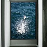 Framed Canvas Wall Art Fish on The Surface Bedroom Dolphin Marine Life Multicolor Nautical Photography - 16x24 inches