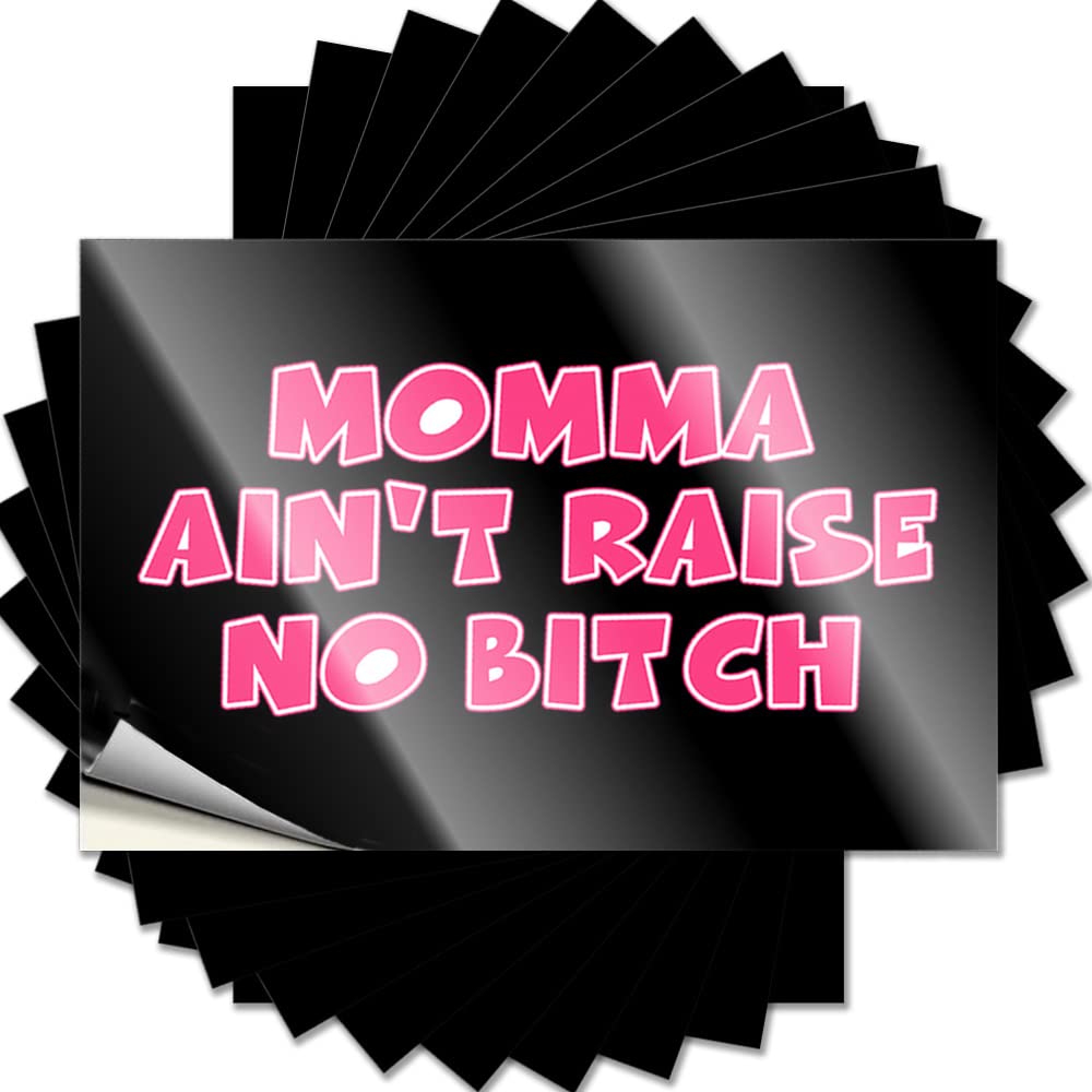 Car Stickers for Men Momma Ain't Raise No Bitch Funny Sticker 10 Pcs Bumper Sticker Stickers for Car(8X12CM)