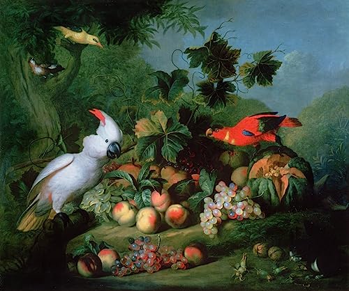 Poster fruits et oiseaux 50x70 toile Jakob Bogdani décoration murale