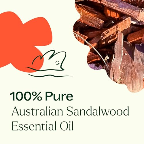 Aceite Esencial de Sándalo Australiano 10 mL 100% Puro miniatura 5