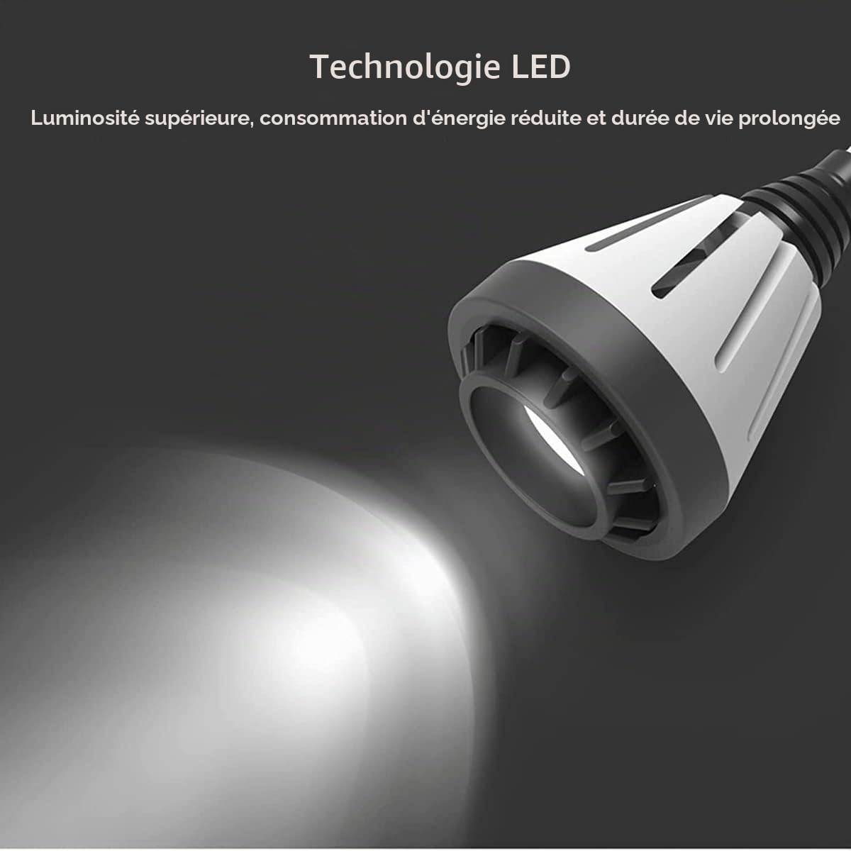 COMDS Lampe D'examen Chirurgical LED 9 W, Lampe Murale D'examen pour Animaux De Compagnie Réglable À Haute Luminosité, Lumière D'examen Dentaire Orthopédique Chirurgie Chirurgicale ORL Lampe D'examen