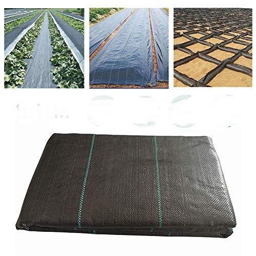 Kijamilee Toile De Protection Contre Les Mauvaises Herbes De