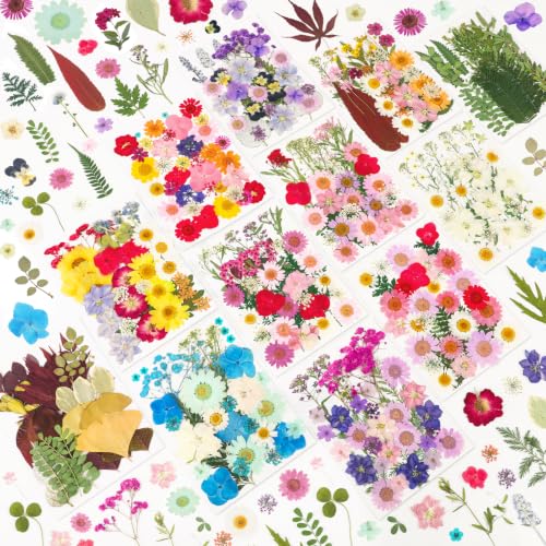 Image of NESCCI 420 Pcs Dried Pressed Flowers for Resin,Real Nature Dried Flowers for Crafts Bulk Dry Flowers Leaves Kit Used for Resin Molds Scrapbooking DIY Art Crafts Candle Soap Making Nails Decor