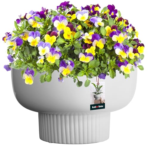 KOTARBAU® Maceta de cerámica de 24 cm de altura, 16,5 cm, color blanco, para plantas de interior, color blanco