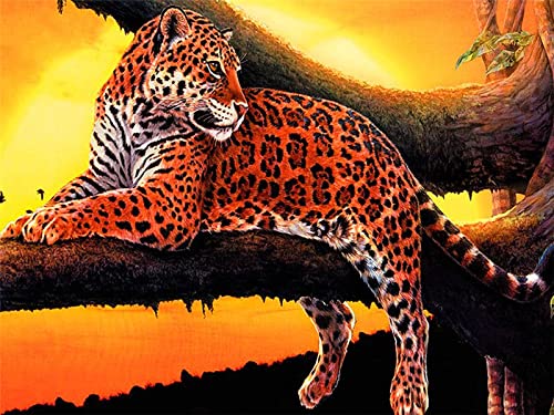 ABEUTY Malen Nach Zahlen „Leopard Beauty“ – DIY Ölgemälde Auf Leinwand 40x50 Cm Inkl. Farben & Pinsel