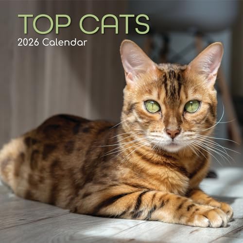 The Gifted Stationery 2026 Square Wall Calendar, Top Cats, 16-Month