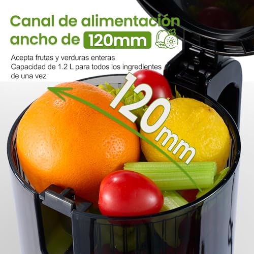 Ventray Extractor de Zumos y Verduras | 120mm Slow Juicer | 1.2L Capacidad | Prensado en Frío | Doble Filtrado | Prensado Secundario | Sin BPA | 250W | Fácil Limpieza | Para Frutas y Verduras - Negro - imagen 2