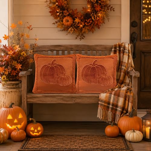 18x18in Embossed Pumpkin Fall Pillow Covers - image 4