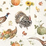IHR Ideal Home Range Cocktail Napkins Disposable 3-Ply Paper Party Napkin Pack, 5' x 5', Happy Harvest, 20-Count