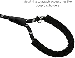 6FT Strong Heavy Duty Dog Leash with Padded Handle, Highly Reflective Nylon Threads and Carabiner Hook for Small, Medium & Large Dogs - 6 ft Long 1/2 inch Diameter (Black)
