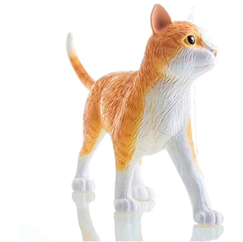Amazon.co.jp: 4Dオレンジ猫臓器解剖学アセンブリモデル-医療猫