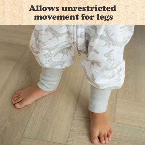 Image of Toddler Sleep Sack with Feet, 2-3T, 1-Pack