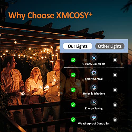 Xmcosy+ Outdoor String Lights thumb #7