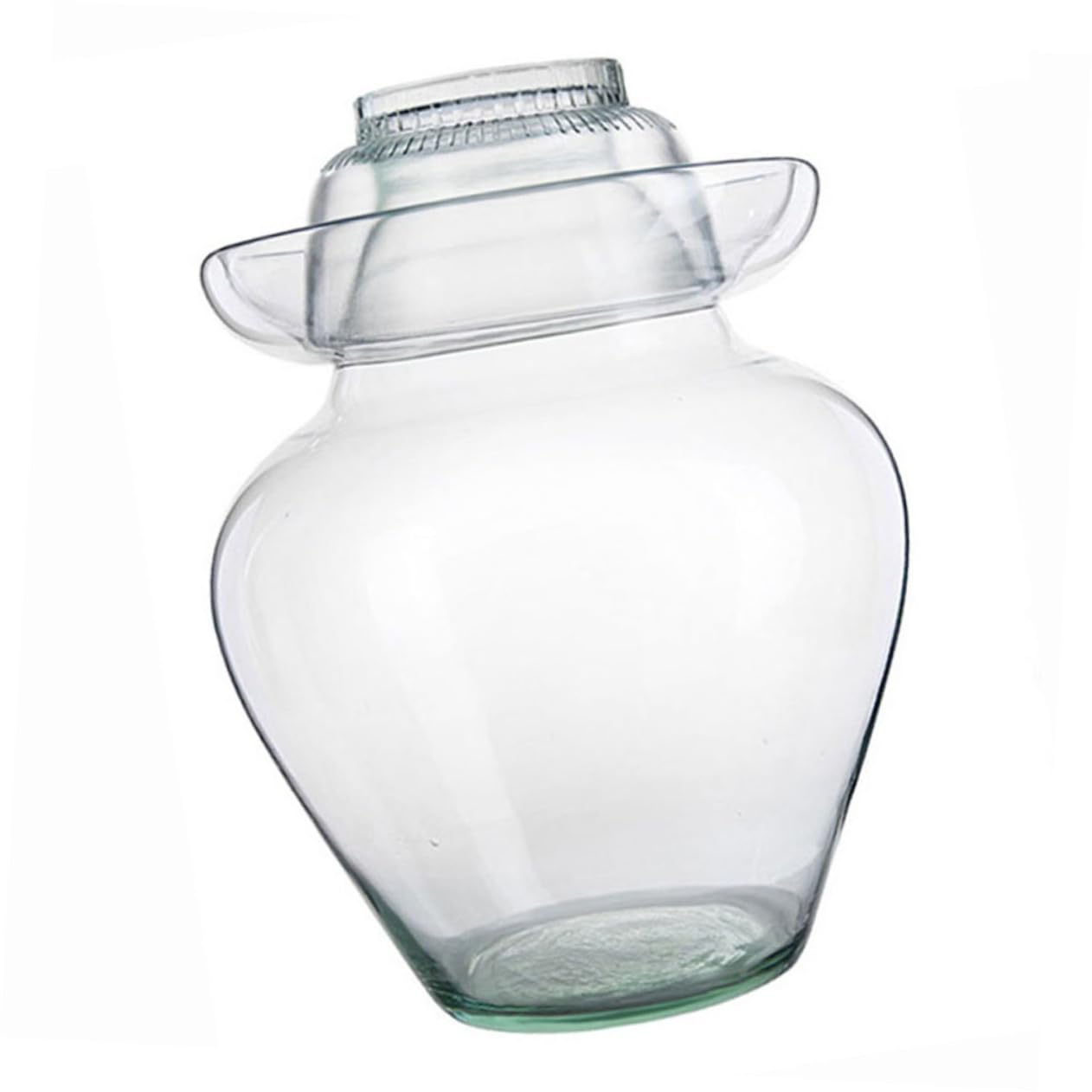 PRETYZOOM Fermentierglas aus Glas mit Glatter Oberfläche und Sicherem Griff Gurkenglas mit Verschiedenen Deckelstilen für Gemüse und Einmach im Haushalt