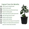Viagrow 650 g (1.4 lb.) Compressed Coconut Coir Premium Grow Media (3-Packs) / A Product of The Harvest CompanyTM