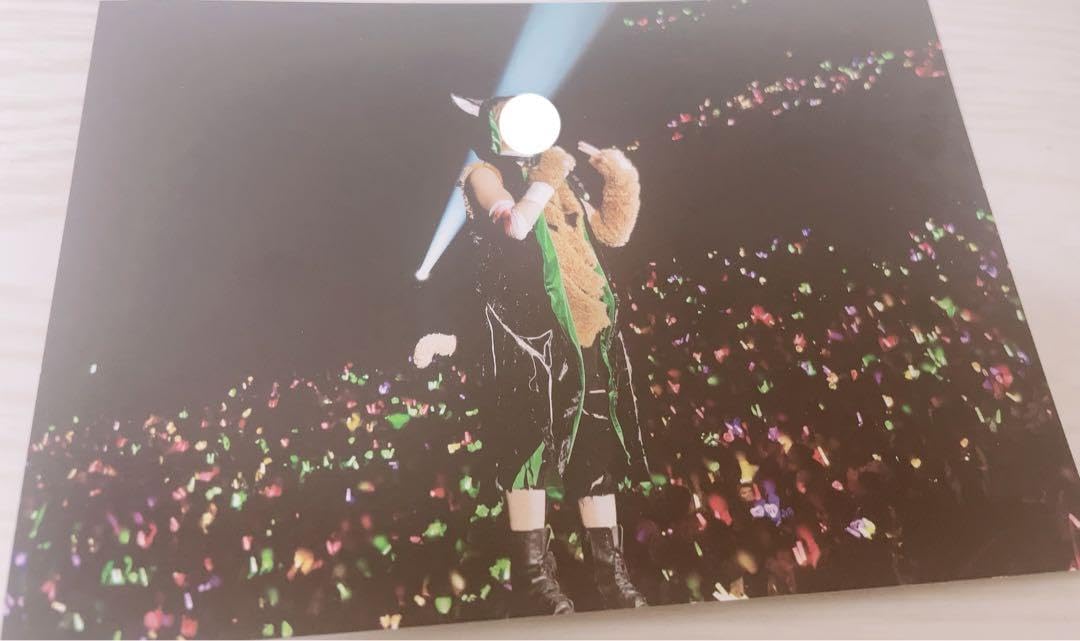 浦島坂田船 うらたぬき うらたさん メモリアル 実写 缶バッジ 80個セット