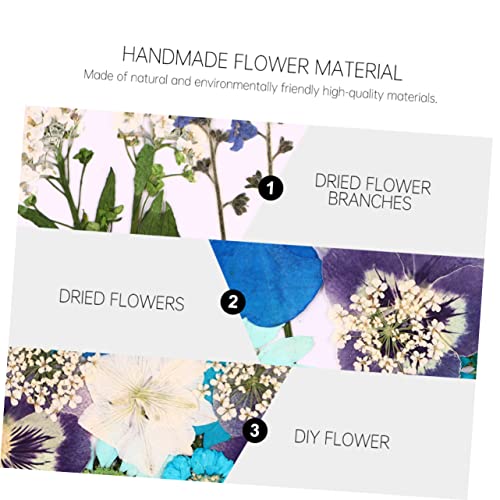 Abaodam 40 Pçs Pacote De Material De Gravação Flores Secas Para Resina Pegatinas Para Unas Materiais
