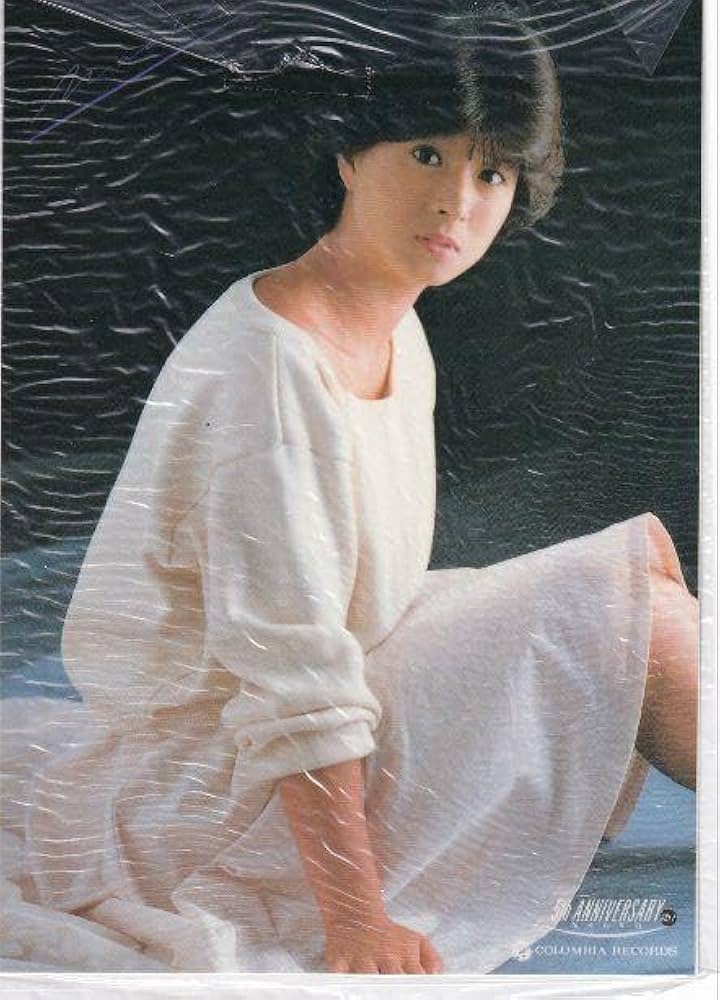 河合奈保子ファンの集い記念品 Amazon.co.jp: 河合奈保子 5周年記念 グッズ : おもちゃ