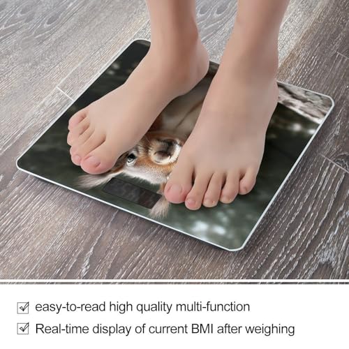 Báscula Digital de Baño con Diseño de Ardilla y Pantalla LCD miniatura 5