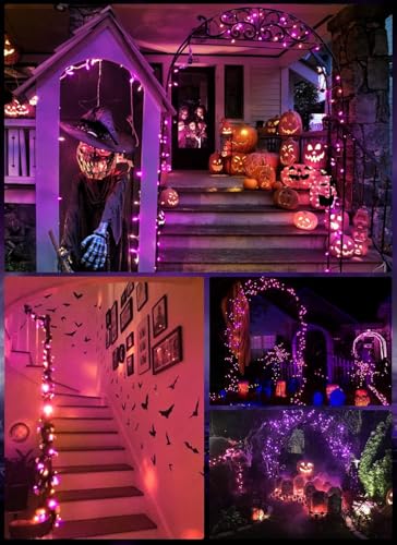 Image of Brightown Orange and Purple Battery Operated Christmas String Lights