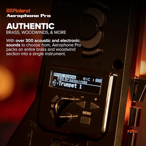 Roland Aerophone Pro Digital Wind Instrument, Professional-Grade with Refined Design, Premium Components, and Advanced Sound Engines (AE-30), Grey, Black - Image 4