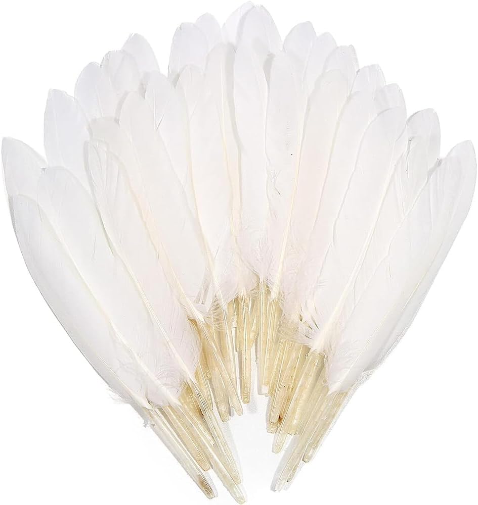 50 Pieces White Feathers for Crafts, Natural Goose Feathers Large Craft