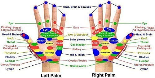 Chaithanya Orthopaedics Wooden Acupressure Karela Hand & Foot Roller Massager (Multicolour) 1