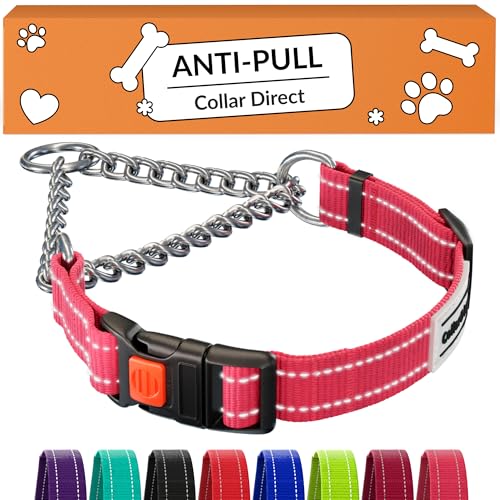 CollarDirect Martingale Dog Collar with Stainless Steel Chain and Quick Release Buckle - Reflective Collar for Large, Medium, Small Dogs - Pink, Medium (Neck Size 14'-17')