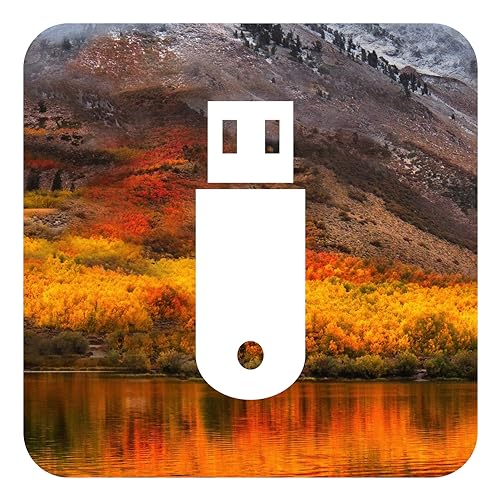 D-S Systems Installazione USB Compatibile con macOS X 10.13 High Sierra su Chiavetta USB Avviabile per L'installazione o L’aggiornamento