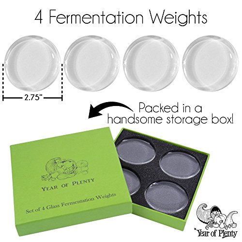 Year of Plenty Huge Fermentation Weights | 0.91" Thick | 7.1oz | Pack of 4 | Fits All Wide Mouth Mason Jars | for Fermenting Sauerkraut, Kimchi and Pickles (4)