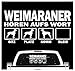 siviwonder Weimaraner Weim hört aufs Wort Hunde Auto Aufkleber Autoaufkleber Hund Folie Farbe Weiß, Größe 30cm