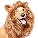 Pet Krewe Lion Mane for Dog -Lion Mane Dog Costume by Pet Krewe
