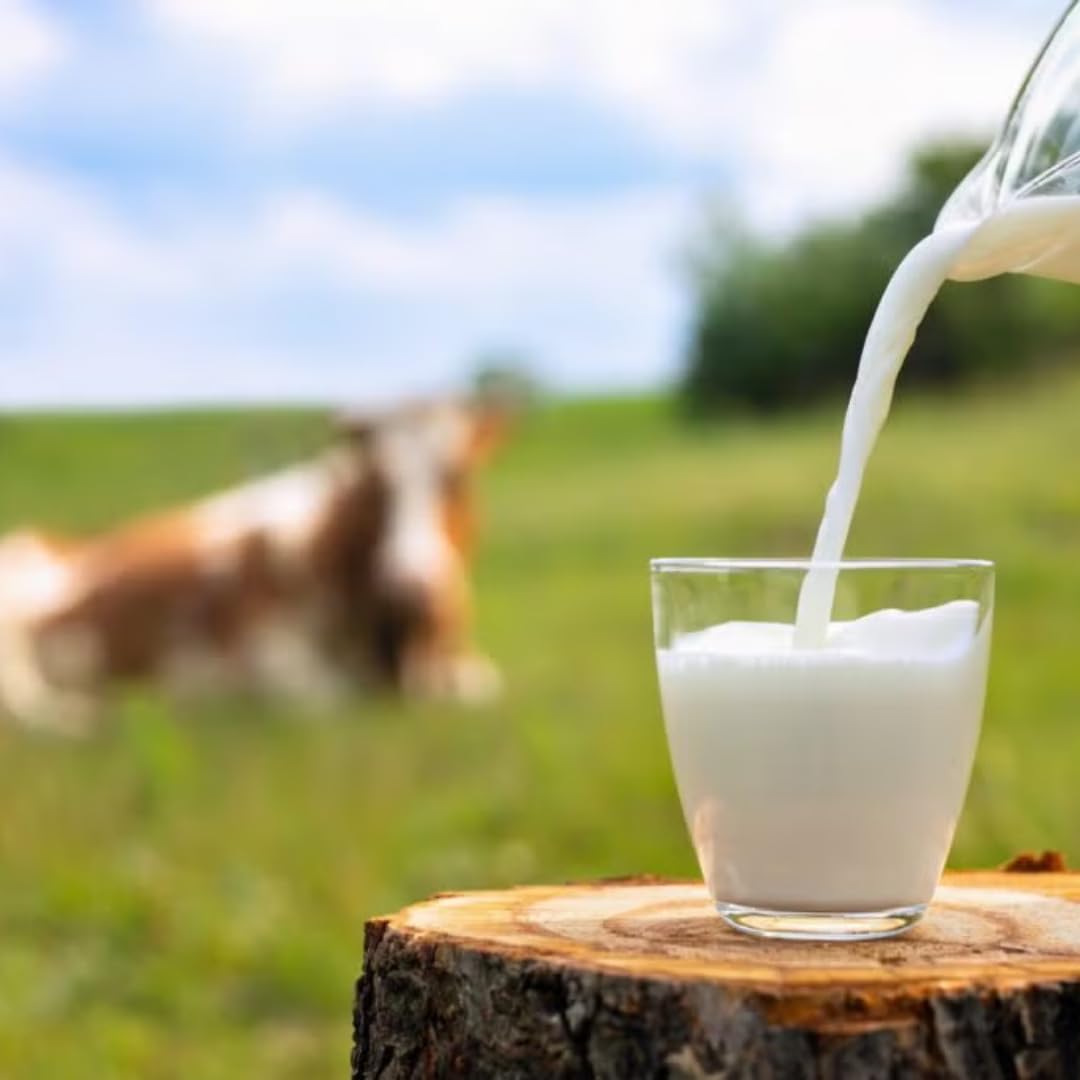 Weihenstephaner Milch fettarme H-Milch 3,5% Fett, je 0,5 Liter, 24 Stück