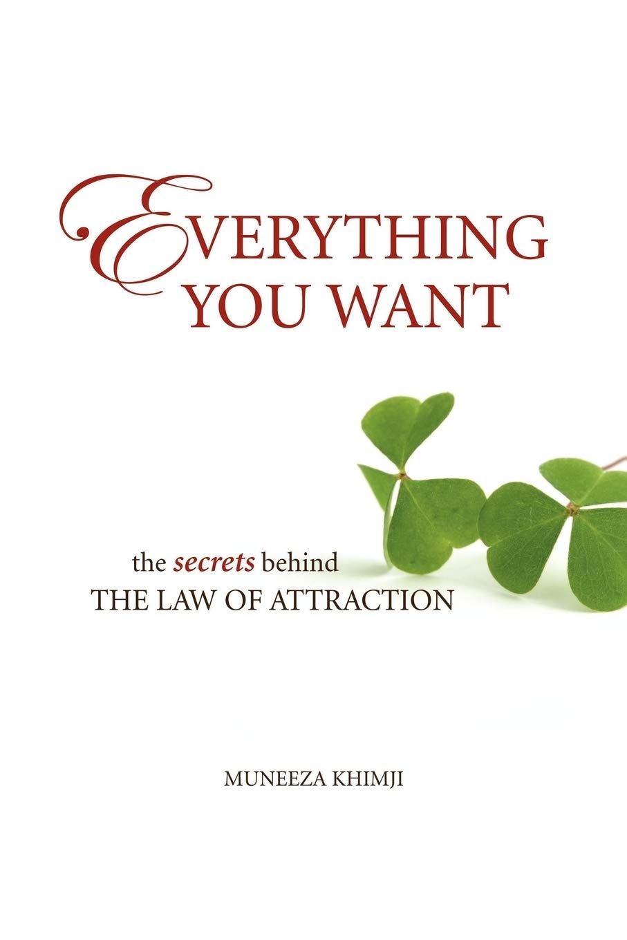 Everything You Want: The Secrets Behind the Law of Attraction