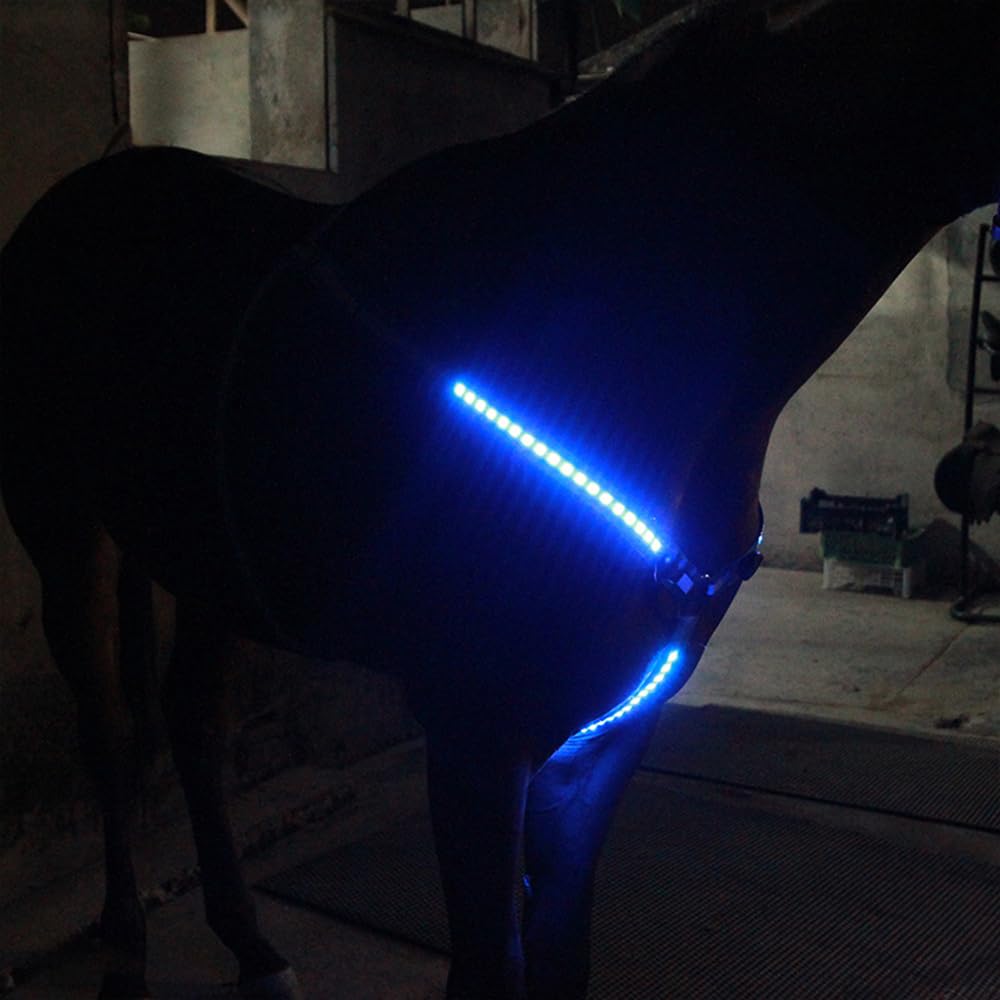 Pettorale a LED per cavalli, ricaricabile tramite USB, riflettente, elastico, per la sicurezza, alta visibilità durante le corse su strade e sentieri