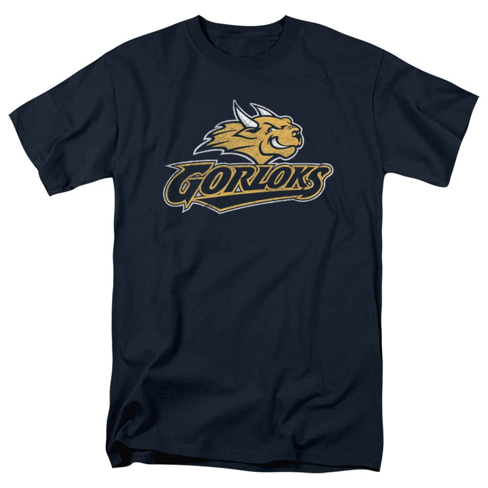 LOGOVISION Official Collegiate Distressed Primary Logo Adult T-Shirt Collection — view 83