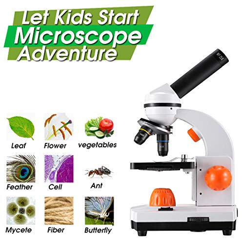 Dicfeos Microscope for Kids and Student, 40X-100X-250X-400X-1000X Magnification, Optics Glass Lens, Dual-Light Illumination, Extra 25X Ocular Lens and Microscope Accessories - Thumbnail 5