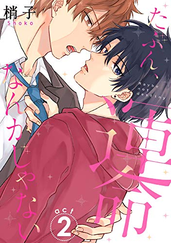 『たぶん、運命なんかじゃない』