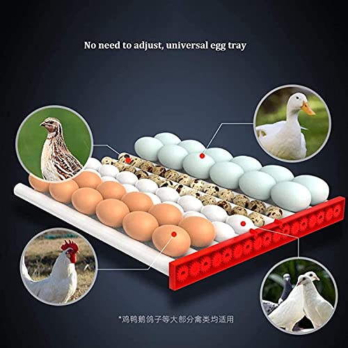Broedeieren incubator 128 eieren Digitale Mini Automatische Incubator met Turner voor het uitkomen van Turkije Goose… - Afbeelding 7