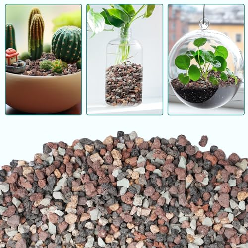 Image of 2.5lbs Mix Horticultural Lava Rock for Plants, 1 /5 Inch Potting Soil Amendment for Succulents, Cactus & Bonsai, Decorative Volcanic Gravel for Terrarium, Drainage Gritty Rock, Top Dressing