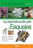  La reproducción por esquejes
