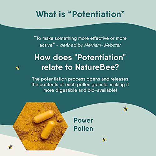 NatureBee Power Pollen 200 x 500mg Caps (Pack of 2) | Energy, Immune, and Cognitive Support | Potentiated Bee Pollen | Natural Superfood | 6 Month Supply - Image 6