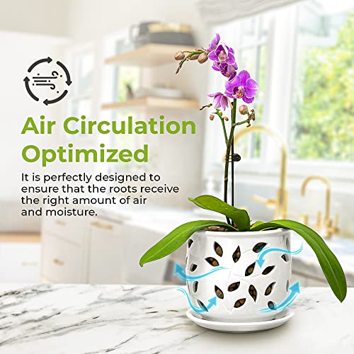 Vebavo Orchid Pot Ceramic 6.5 Inch, Orchid Pots With Holes For Healthy Airflow & Drainage, Easy Plant Repotting Orchid Planter For Plants Lovers, Indoor/Outdoor Orchid Pots For Repotting Large #TOP2