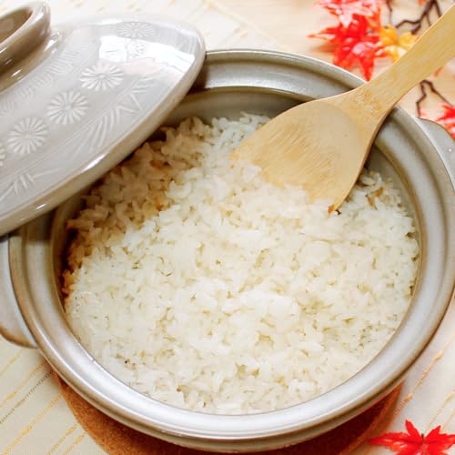 TIKUSAN Donabe Hot Pot japonais Banko Ware fabriqué au Japon (9 Go (3,2 ml.) – Image 5